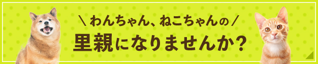 わんちゃん、ねこちゃんの里親になりませんか？